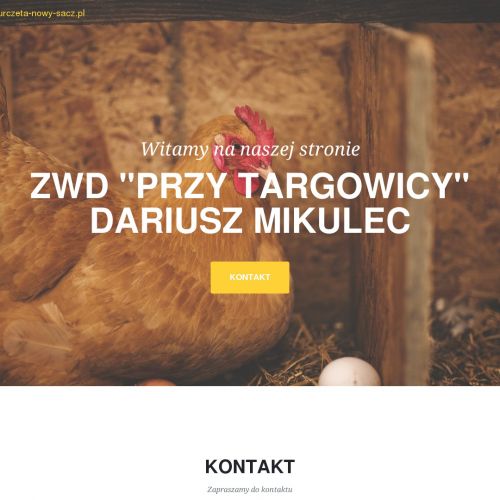 Nowy Sącz - koguty