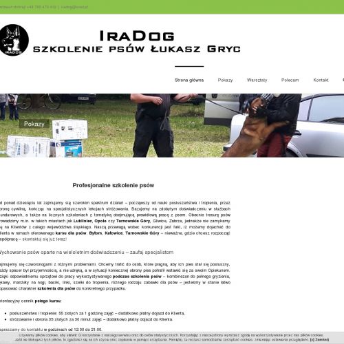 Opole - szkolenia psów