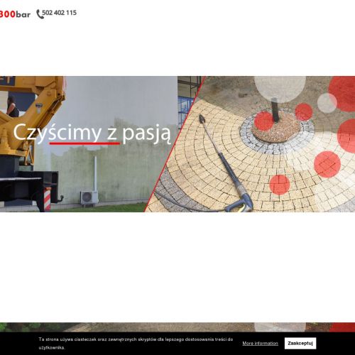 Mycie ogrodzeń Poznań