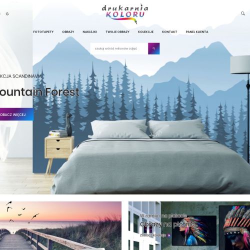 Fototapeta do przedpokoju - Wieluń