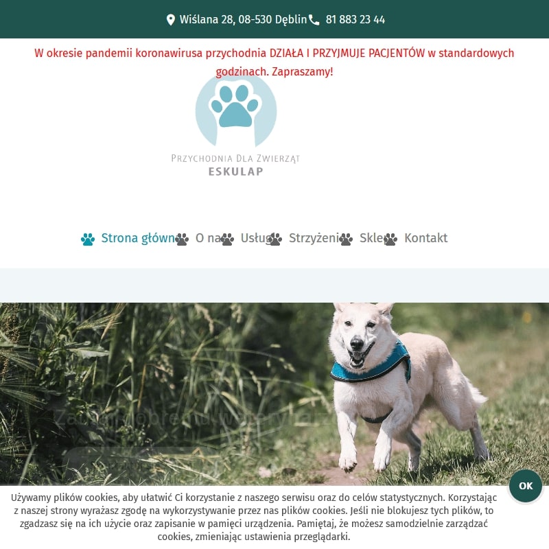 Weterynarz caładoba Dęblin