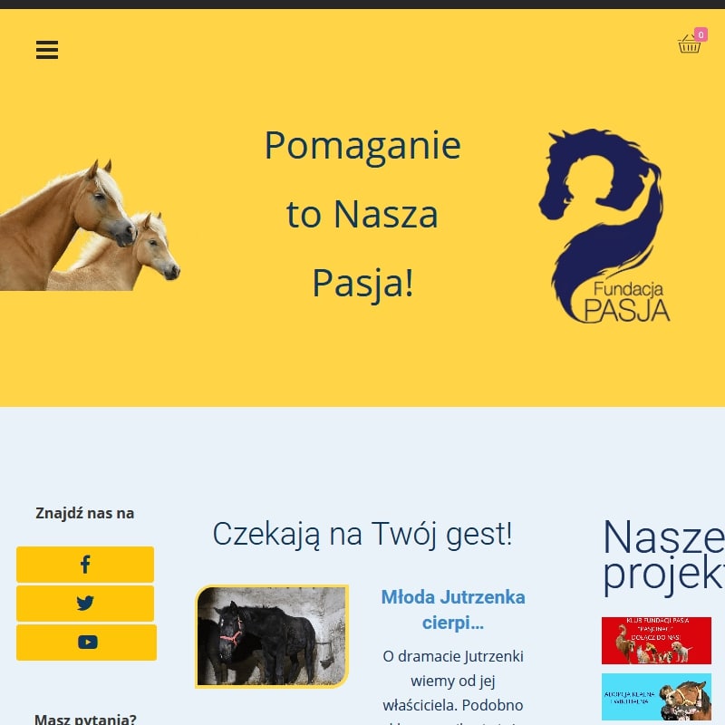 Zbiórki na zwierzęta online