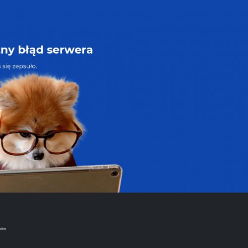 Szkolenia na wózki widłowe w Świdnicy