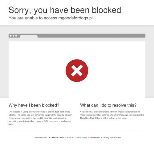 Obroża dławik dla psa