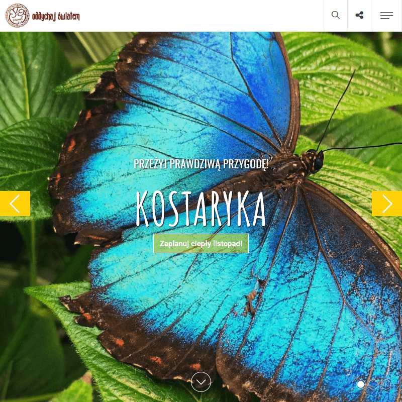 Wyjazdy incentive - Poznań