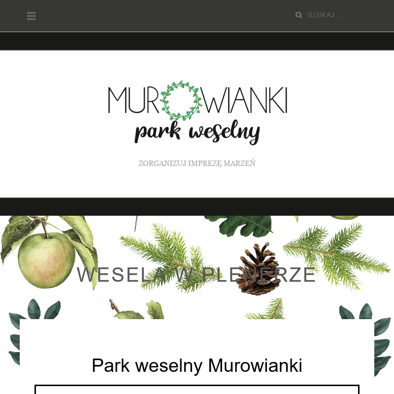 Sieradz - ślub w plenerze wielkopolska