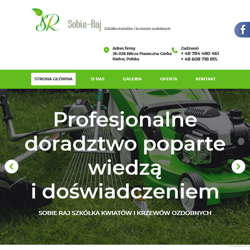 Tuja szmaragd do ogrodu