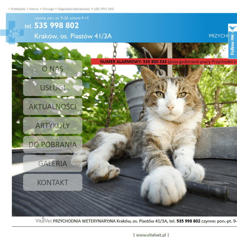 Skawina - lecznica dla zwierząt